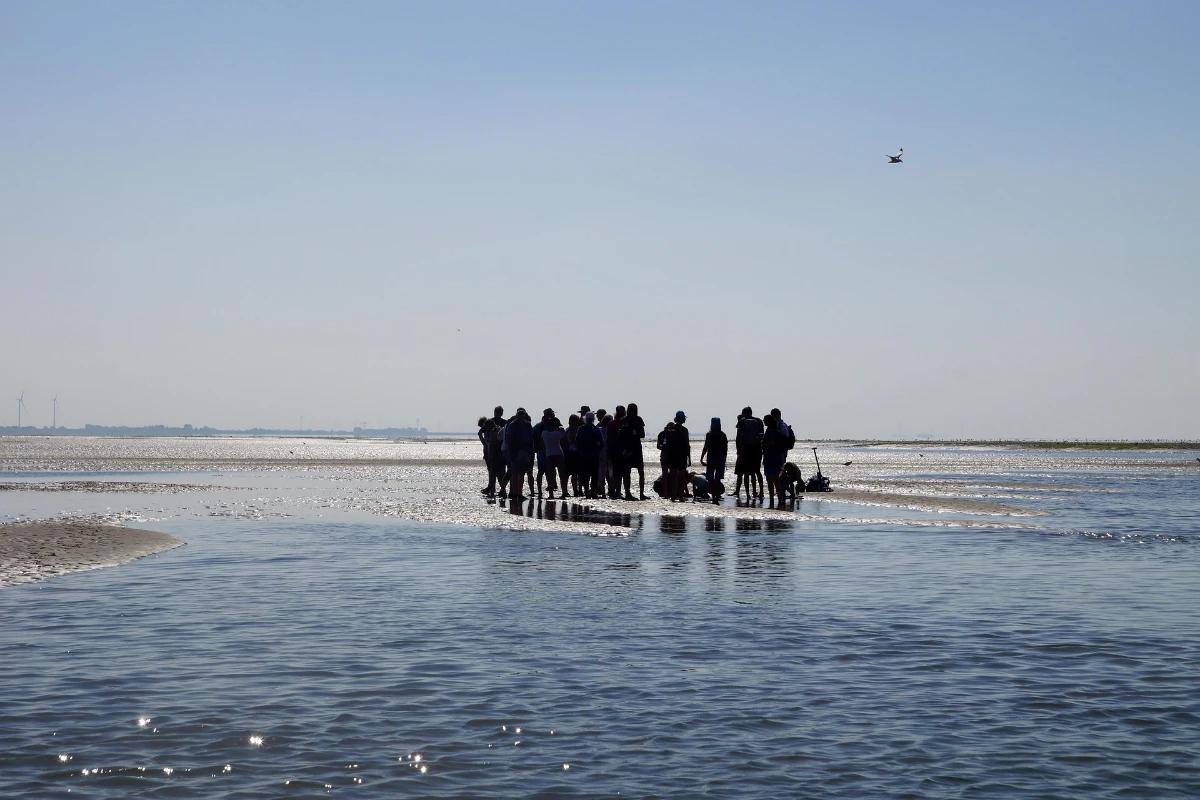 Alles wat je kan doen op het Wad
